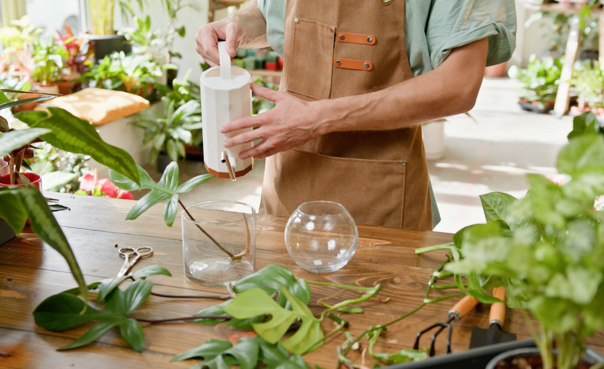 Glass Terrarium Workshop 09.20