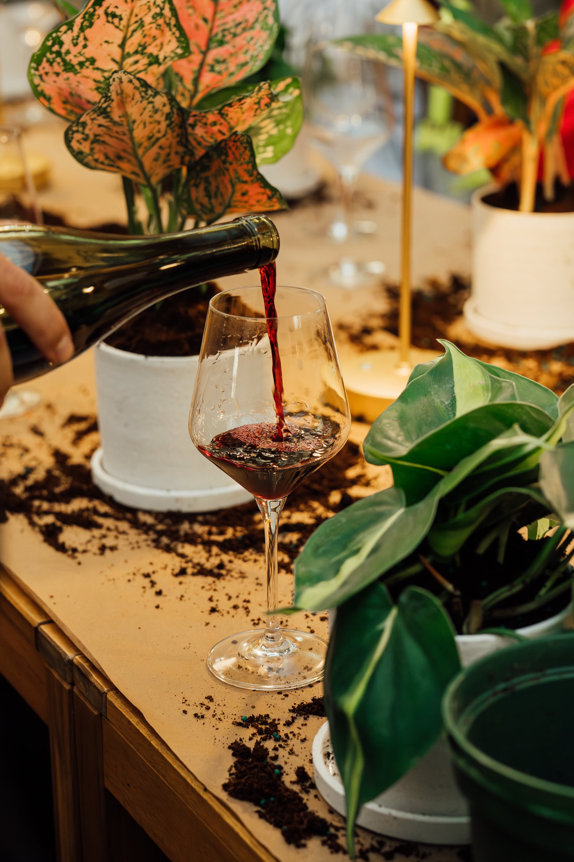 Sip & Plant 09.27