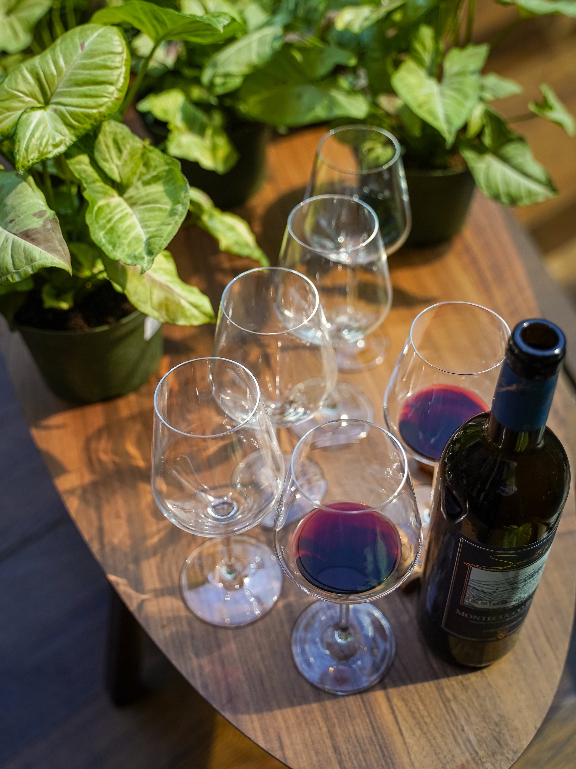 Sip & Plant 11.01