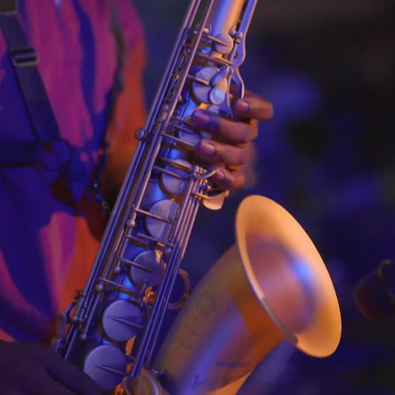 Jazz in the Jungle 07.15 — ft. Kyle Turner