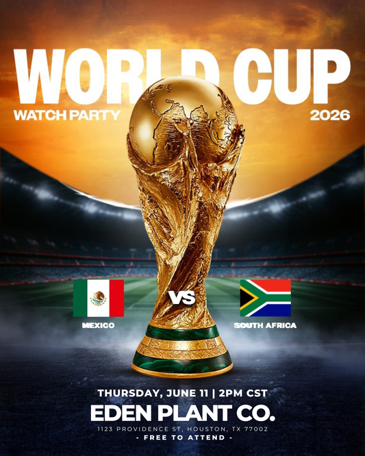 World Cup Watch Party: Mexico vs. South Africa 06.11
